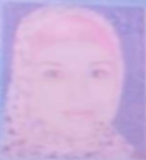 DEWI SARTIKA